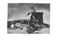 Goya48.jpg