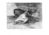 Goya40.jpg