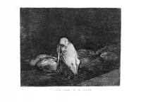 Goya62.jpg