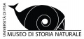 Logo-finalemodificato.jpeg