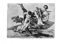 Goya39.jpg