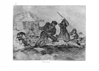 Goya28.jpg