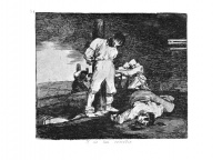 Goya15.jpg