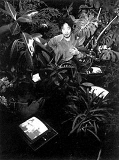 Nam June Paik, «TV-Garden», 1974.jpg