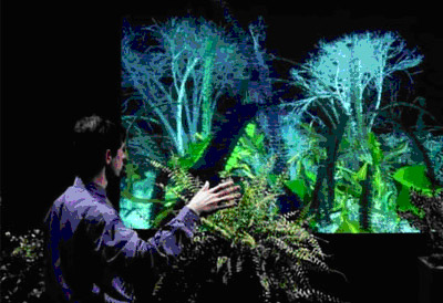 Interactive Plant Growing.jpg