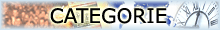 Categorie icon.gif