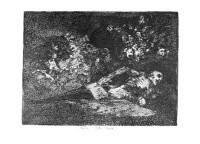 Goya69.jpg